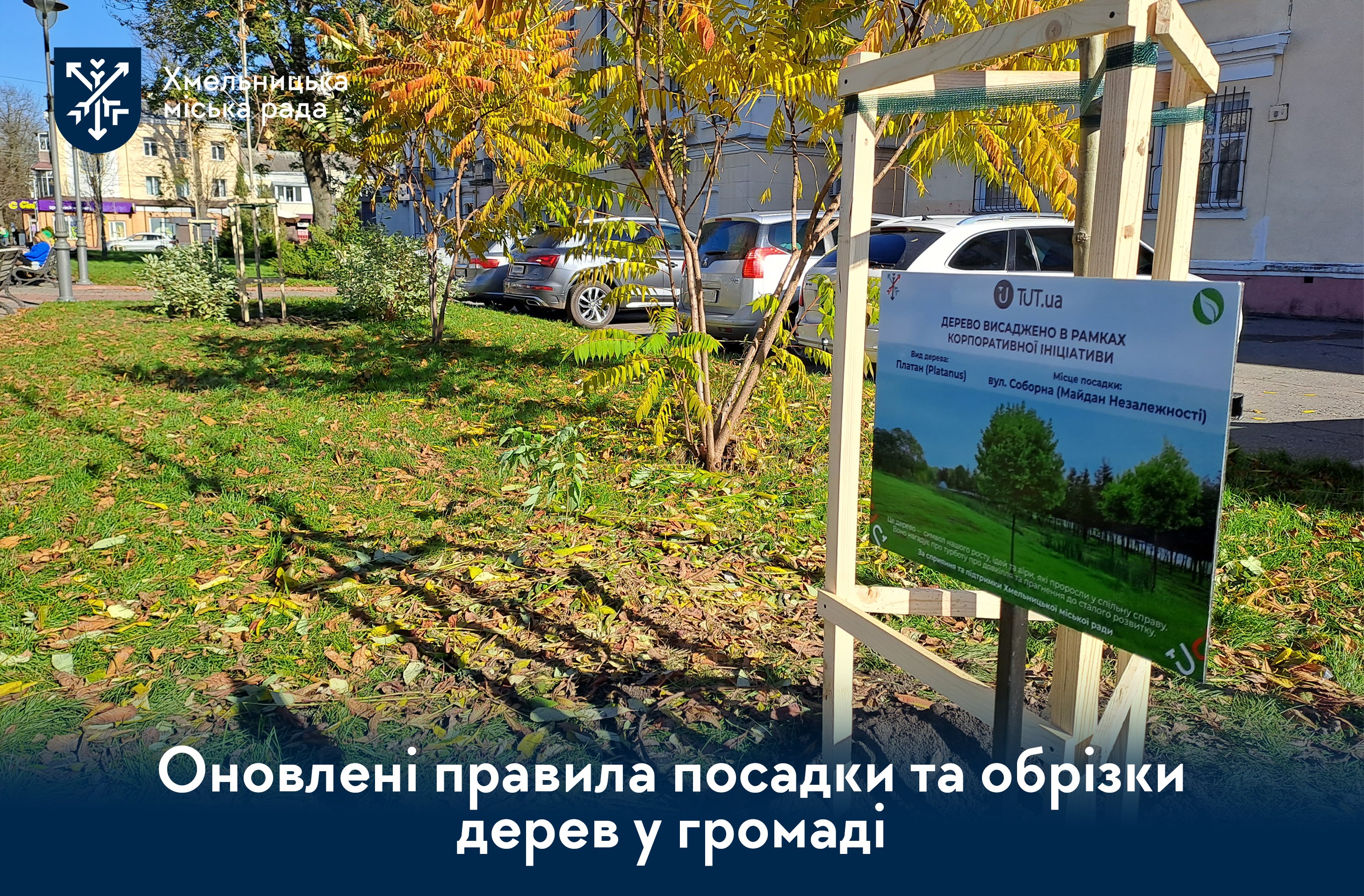 Порядок догляду та збереження зелених насаджень