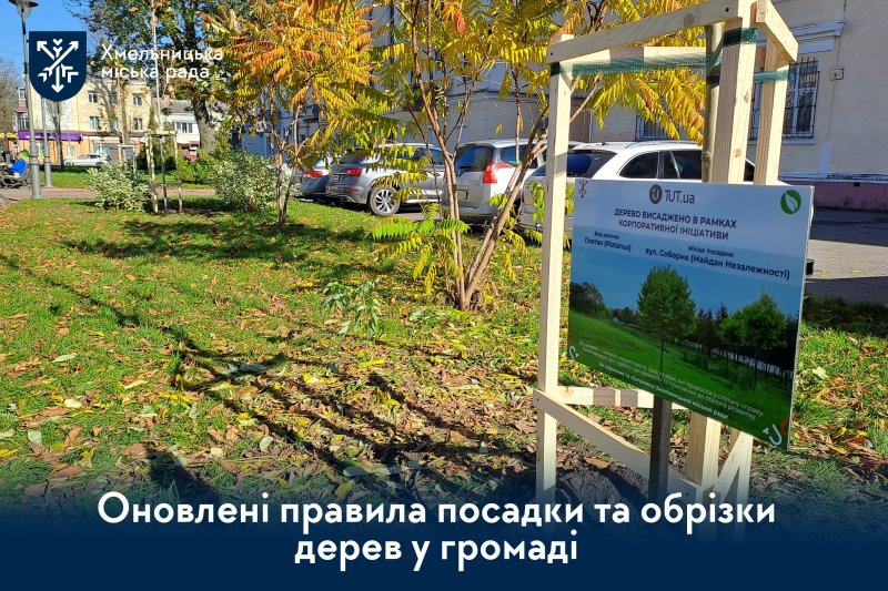 Порядок догляду та збереження зелених насаджень