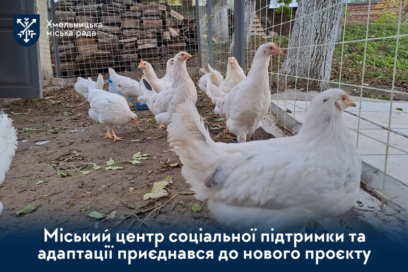 World Central Kitchen